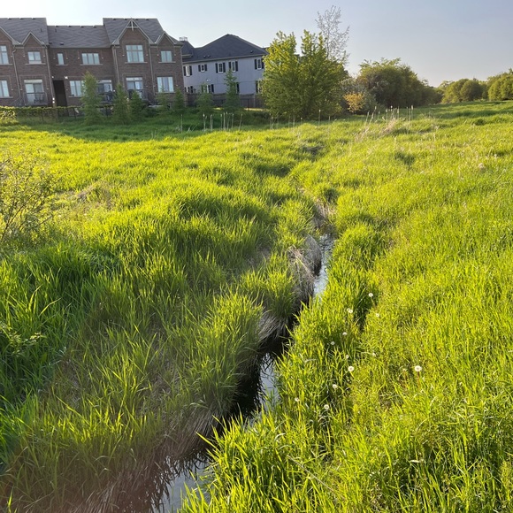 Meet your Posher, Bethany - Picture 1 of 1